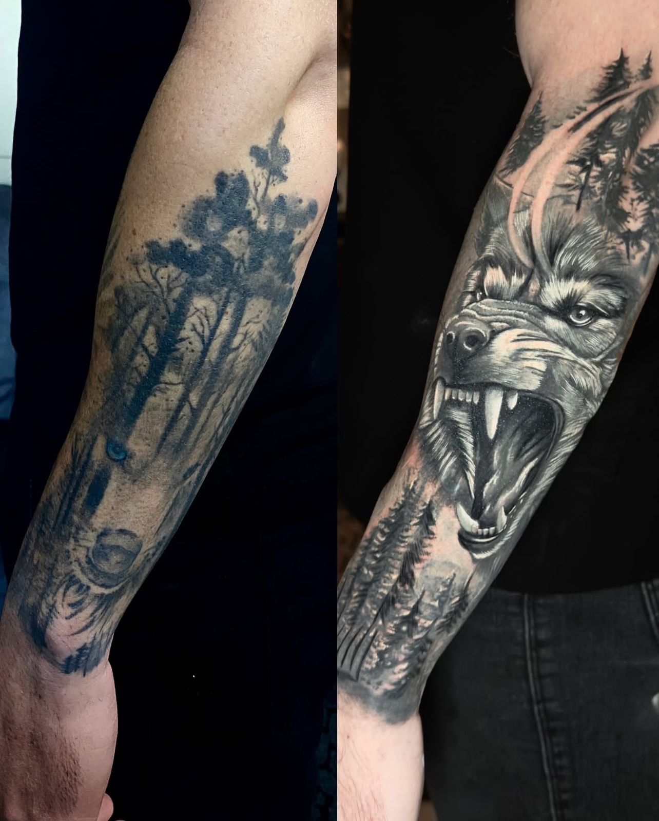 Cobertura Lobo Floresta - Cobertura de paisagem antiga com lobo realista agressivo